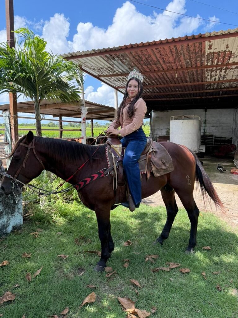 WhatsApp Image 2025-10-15 at 7.22.56 PM